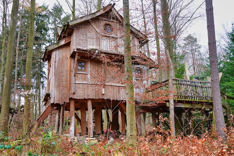 Elven Treehouse in the Forest